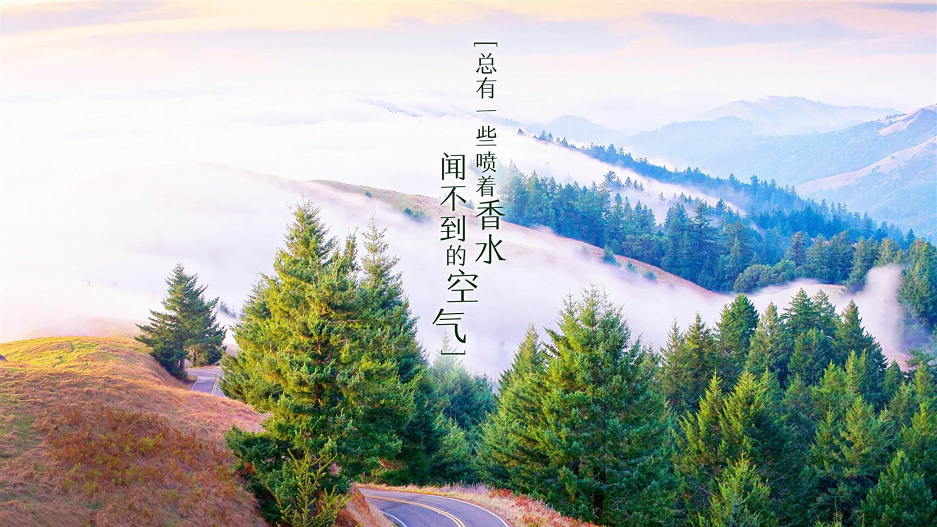 开云网页版-_篮网队攻势如潮，继续领跑联盟_，篮网的队