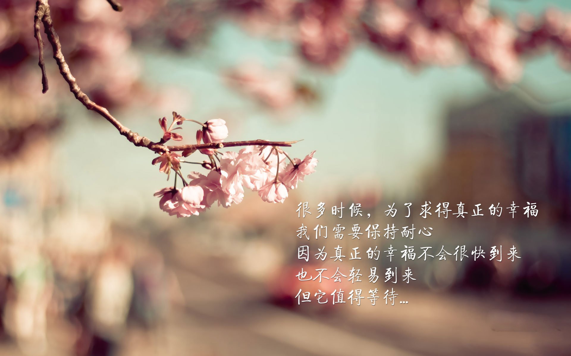 _骑士核心发挥稳定，季后赛希望不断增长_，骑士队员2021