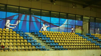 开云下载-巴西青训体系持续投入，未来足球天才持续涌现