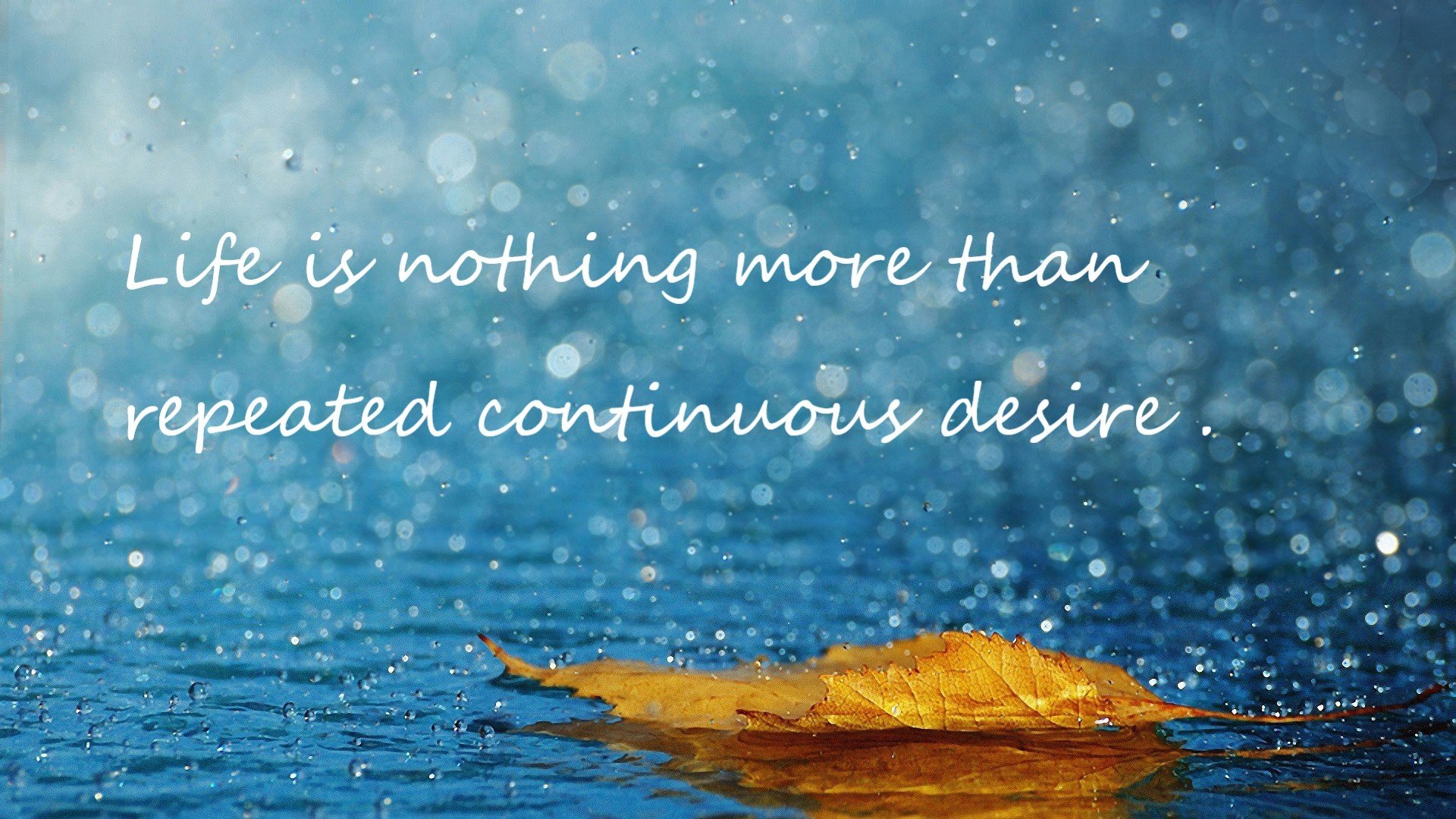 斯滕伯根100米自由泳冲刺表现抢眼