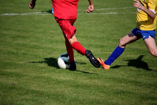 开云体育视频直播-男篮国家队专项安排外线射手训练增强火力输出，男篮外援