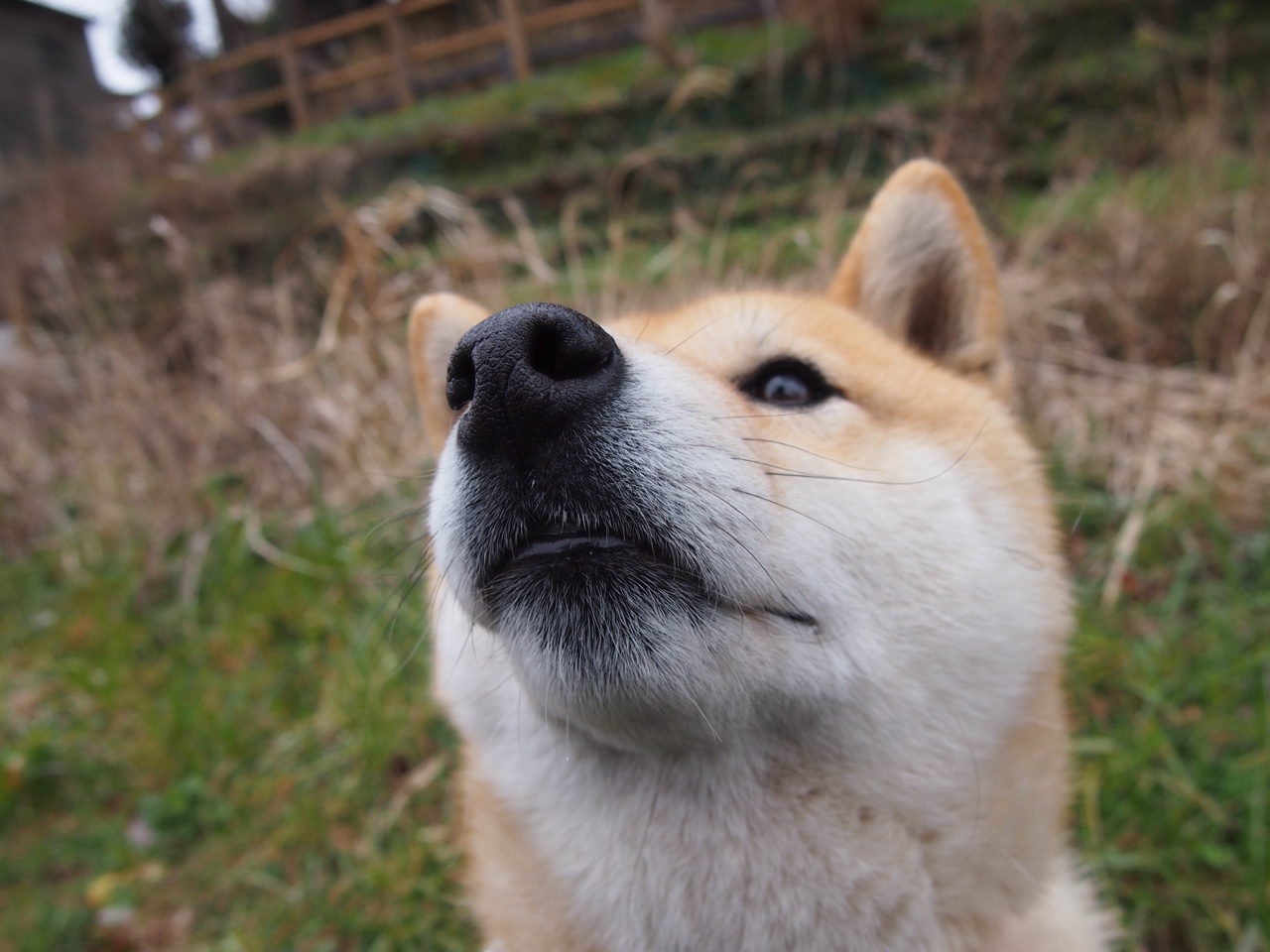 老牌劲旅新援频繁能否实现战术体系快速融合，劲旅网官网