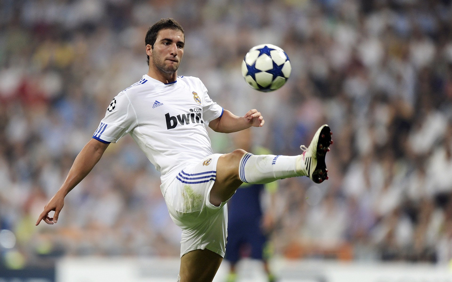 从零到英雄：年轻球员成长的精彩故事，球员的经历